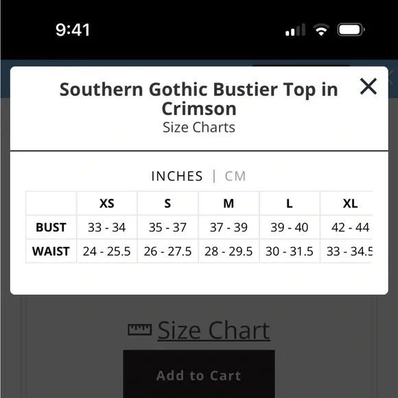 Southern Gothic Bustier - Picture 4 of 6